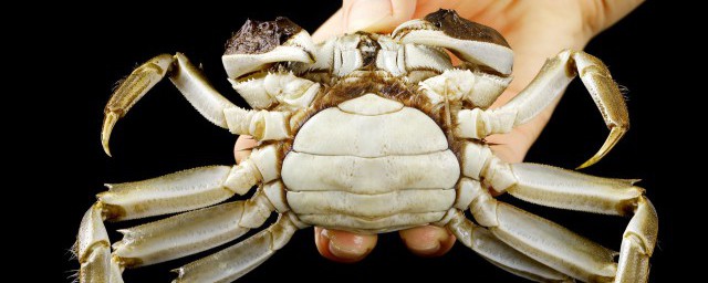 煮好的螃蟹怎麼保存 煮好的螃蟹怎麼保存比較好