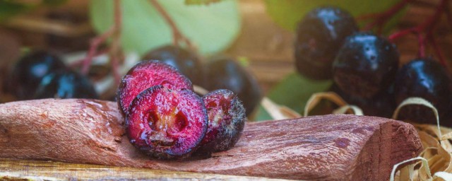 野櫻莓的食用方法 這五種吃法都很美味
