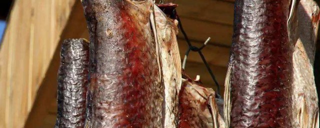 臘鯉魚的醃制方法 臘鯉魚的醃制方法介紹