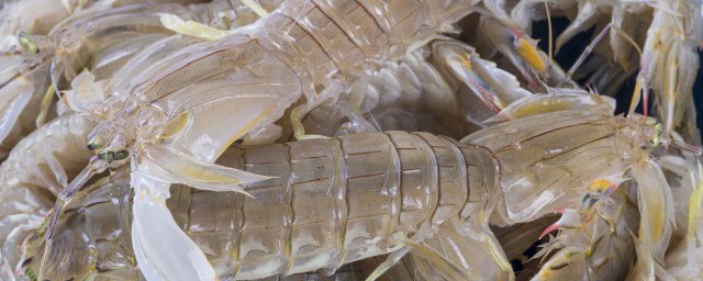 大龍蝦怎麼保存不死 有什麼保存的方式