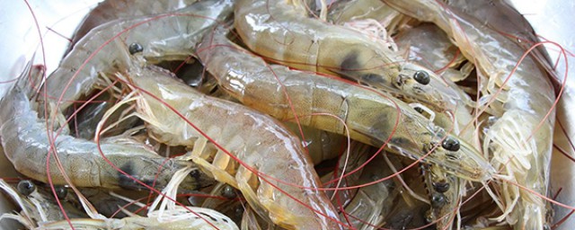 新鮮的蝦怎麼保存 新鮮的蝦如何保存
