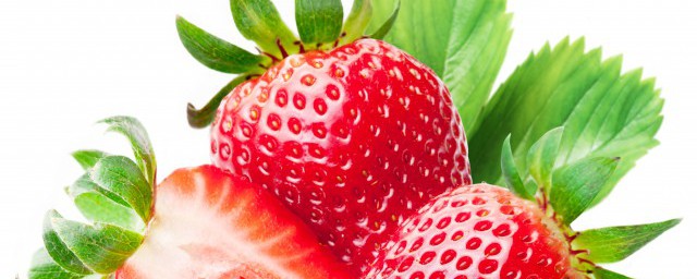 初種草莓苗的方法 草莓苗怎麼種