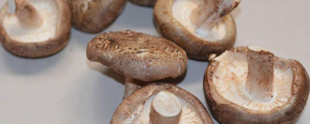 香菇怎麼保存好 香菇保存好的方法