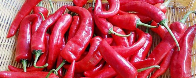 大紅辣椒的醃制方法 大紅辣椒的醃制方法步驟