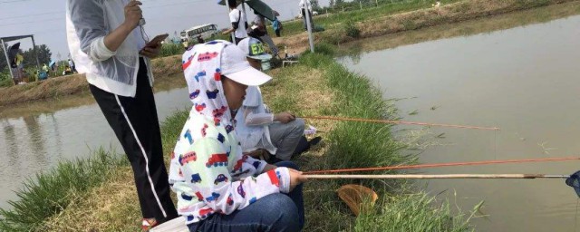 釣龍蝦技巧 需要怎麼釣魚
