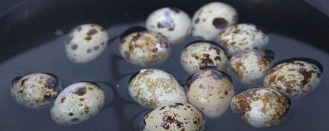 怎麼煮鵪鶉蛋 五香鵪鶉蛋做法介紹