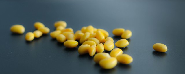 水培黃豆的正確方法 水培黃豆技巧介紹