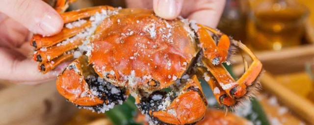 蟹怎麼做 迷迭香焗蟹的做法
