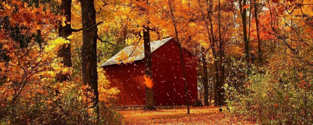 感悟秋天的心情說說 秋天的心情說說感悟生活