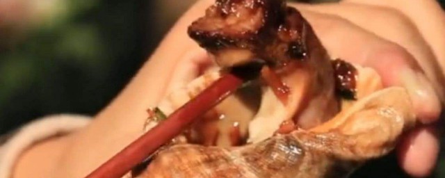 大海螺怎麼吃 如何吃大海螺