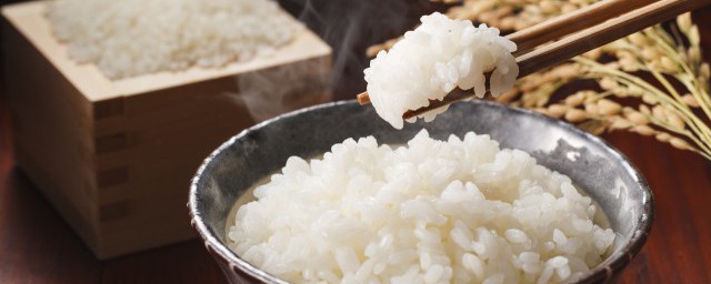 米飯怎麼蒸一粒一粒的 如何做出一粒一粒的米飯
