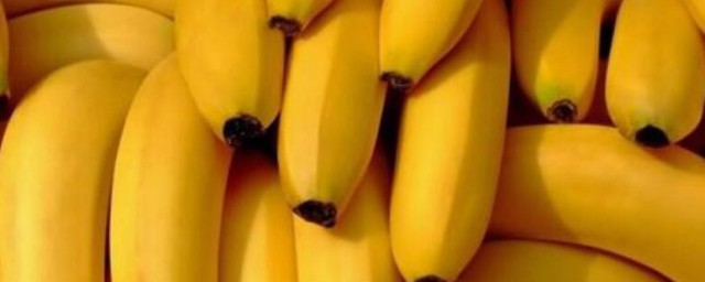 香蕉種植方法 香蕉如何種植