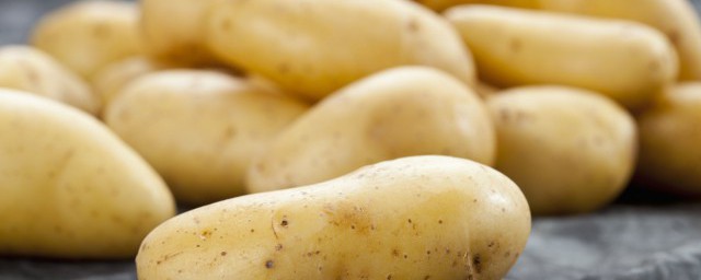 土豆種植方法 土豆種植技術與管理方法