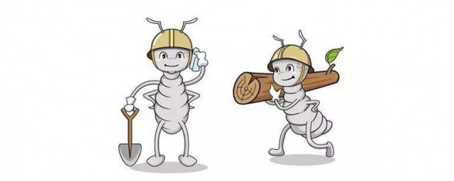 白蟻怎麼消滅 如何有效消滅白蟻