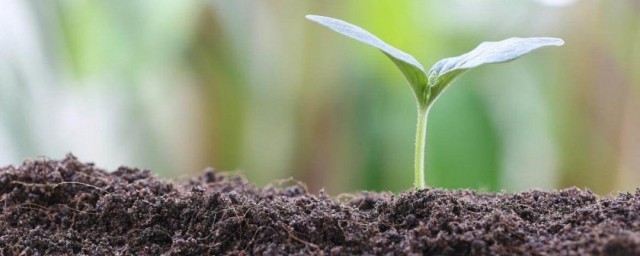 自制有機肥料的方法 怎麼自制有機肥