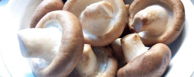 香菇怎麼清洗 清洗香菇方法