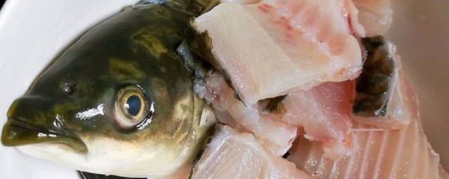魚肉怎麼保存 魚肉的保存方法