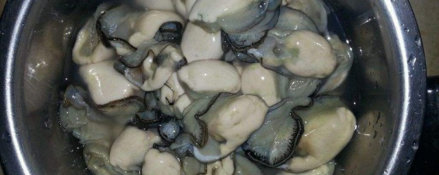海蠣怎麼保存 海蠣保存方法介紹
