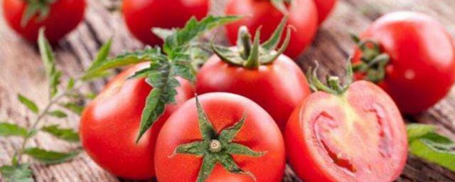 西紅柿有什麼作用 西紅柿的作用介紹