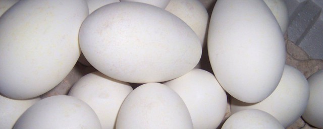 鵝蛋怎麼做好吃又簡單 鵝蛋好吃又簡單的做法推薦