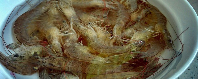 清蒸基圍蝦蒸多久 基圍蝦營養功效與作用