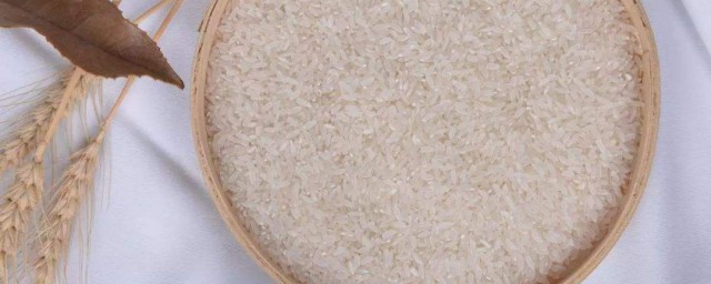 大米怎麼保存不生蟲 大米如何保存
