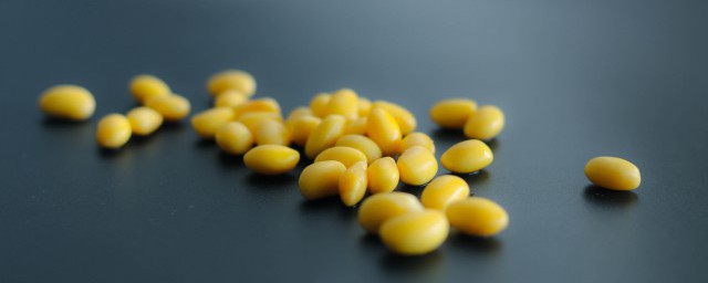 黃豆怎麼保存 黃豆怎麼保存不生蟲?