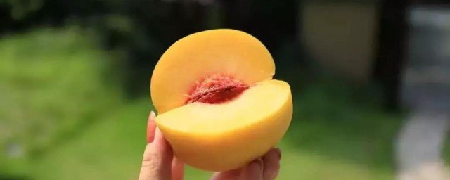 黃桃怎麼保存 黃桃的保存方法介紹