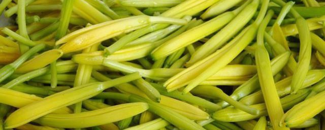 黃花菜的食用方法 黃花菜的用法用量