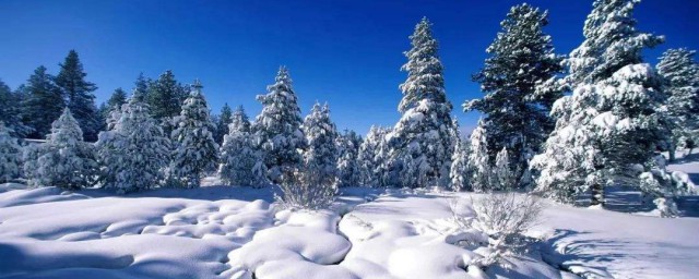 描寫下雪的優美句子 描寫下雪的優美句子有哪些