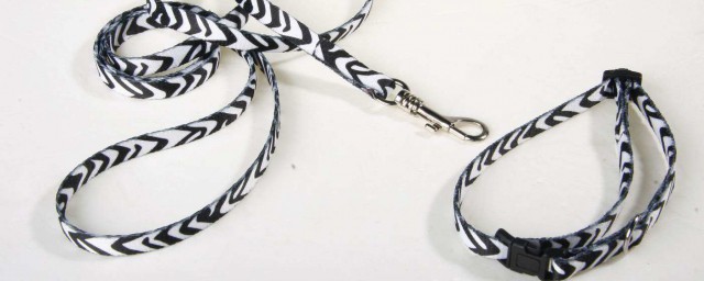 牽引繩的佩戴方法 教你如何正確戴牽引繩