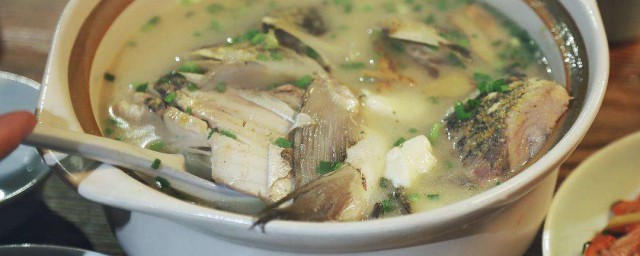 砂鍋魚頭煲的制作方法 超簡單的砂鍋魚頭煲教程