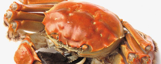 螃蟹的養殖方法 螃蟹如何養殖