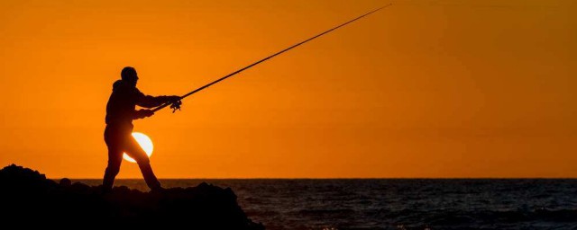 青魚最佳調釣方法 釣青魚調釣方法介紹