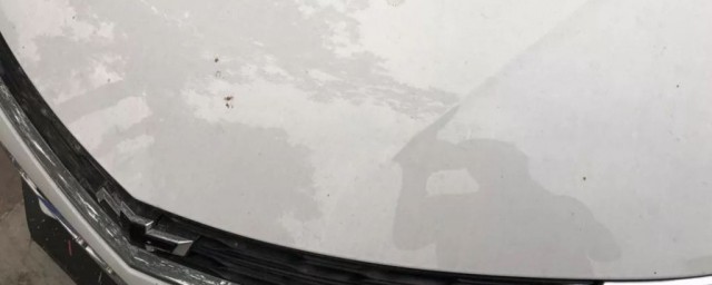 去除車上樹膠方法 如何清理汽車漆面上的樹膠