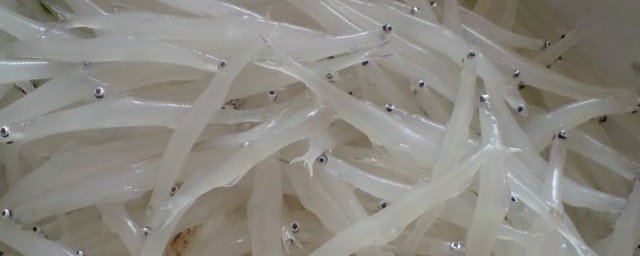 新鮮銀魚怎麼保存 新鮮銀魚保存方法介紹