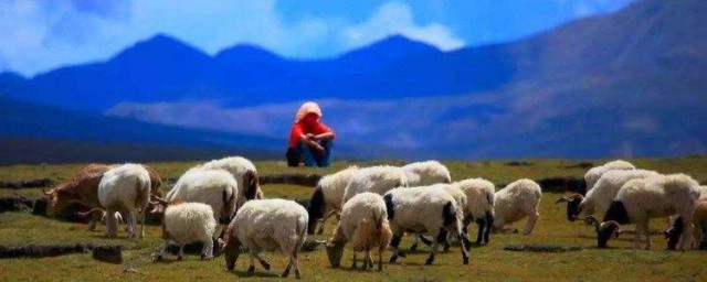 可可托海的牧羊人歌曲背後的故事 可可托海的牧羊人歌曲背後的故事是什麼