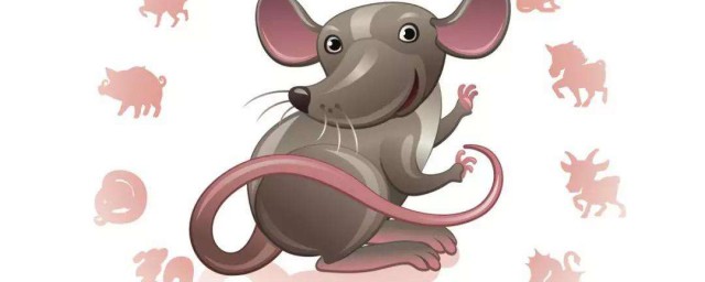 預防鼠的方法 預防鼠的方法有哪些