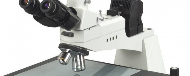 顯微鏡使用步驟 顯微鏡怎麼使用