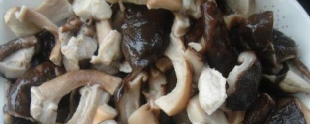 新鮮蘑菇怎麼做好吃 新鮮蘑菇的做法