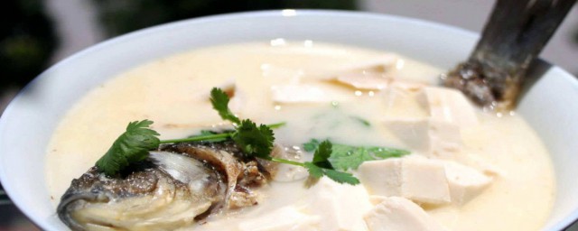 鯽魚湯怎麼做好吃營養 鯽魚湯的做法