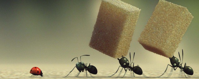 關於螞蟻的短語 描寫螞蟻的句子
