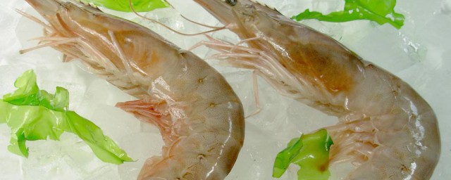 捉海蝦方法 抓海蝦最好方法是什麼