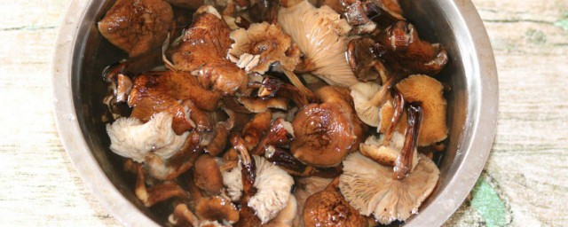 香菇要煮多久才熟 香菇要煮多長時間