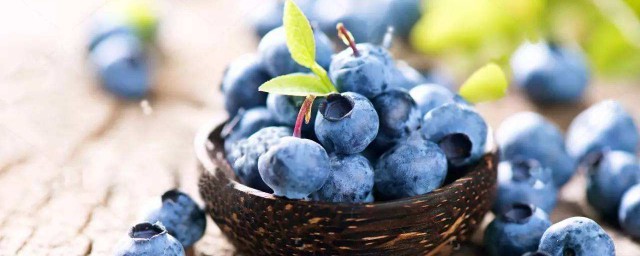 怎麼洗藍莓最好 藍莓的介紹