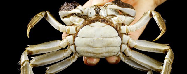 螃蟹怎麼洗幹凈去內臟 螃蟹洗幹凈去內臟的方法
