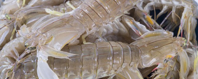 皮皮蝦煮多久才熟 皮皮蝦煮幾分鐘就能熟瞭?
