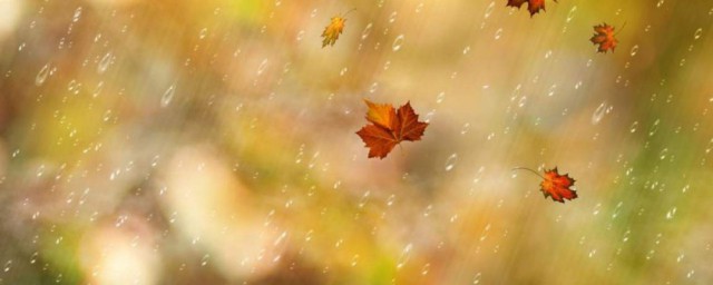 描寫秋天的雨的句子 描寫秋天的雨的唯美句子