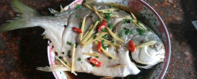 金鯧魚清燉怎麼做 如何做清蒸金鯧魚