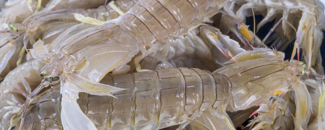 皮皮蝦要怎麼做 皮皮蝦好吃的做法
